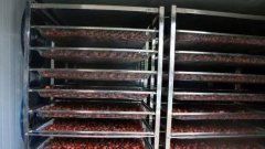 云南：空气能烘干技术助力草果产业提质增效